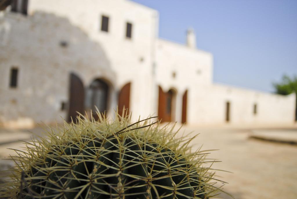 Masseria Valente Ostuni Cameră foto
